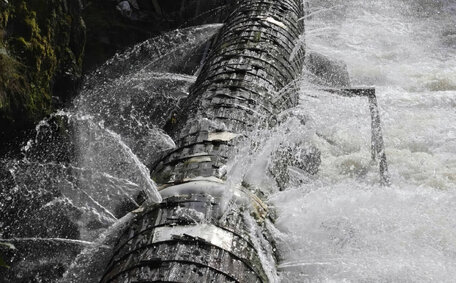 plumber fix mould problems?